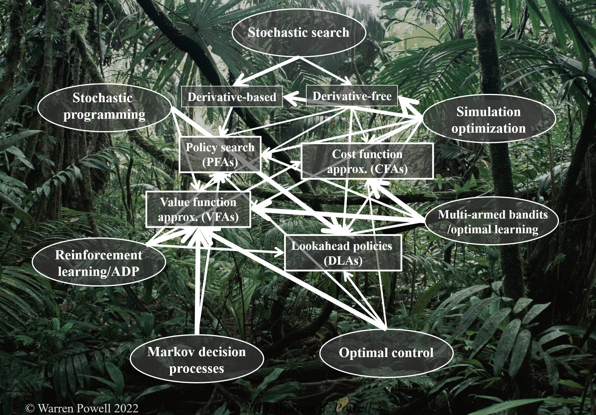 Evolution of policies for different fields