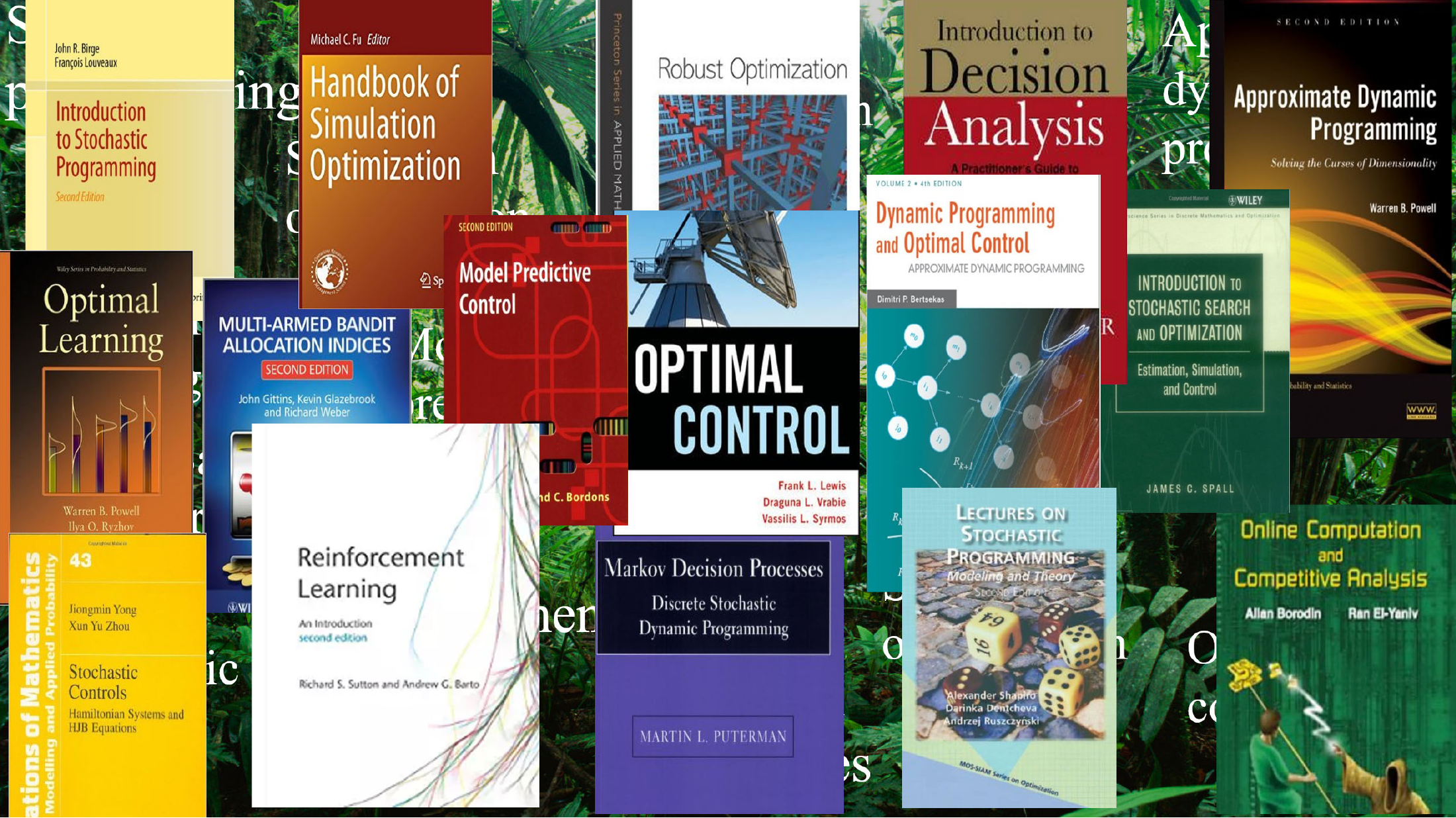 A sampling of major books representing different fields in stochastic optimization.